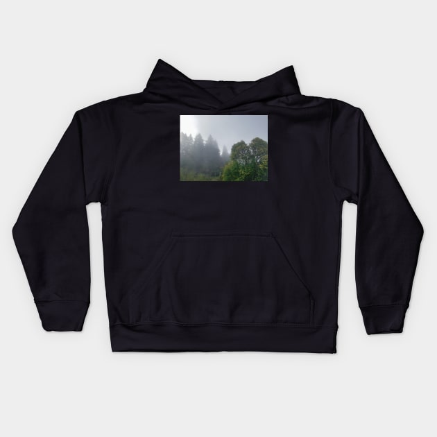 Foggy forest Kids Hoodie by Anastasia-03